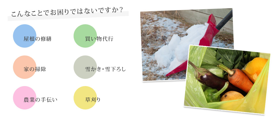 ・屋根の修繕・家の 掃除・農業の手伝い・買い物代行・雪かき・雪下ろし・草刈り